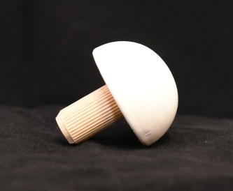 Ronde eindkap 40 mm - dekkend wit gelakt